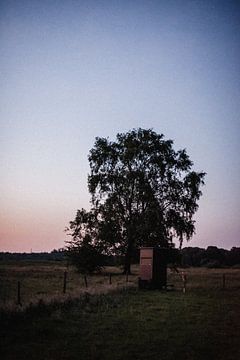 Kanzel auf einem Jägerfeld nach Sonnenuntergang von Holly Klein Oonk