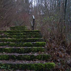 alte Treppe von Aad van der linden