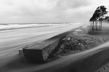 Stormy Beach by Walljar
