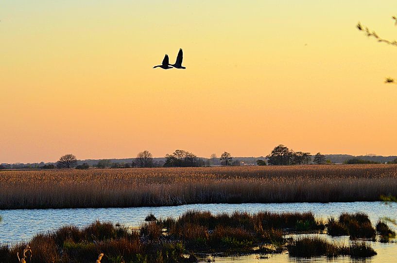 Zonsondergang Matsloot par Jose Reijinga
