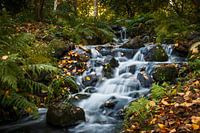 Cascade dans les jardins du château d'Arcen