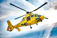 Search And Rescue