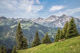 Sommer in den Tannheimer Bergen