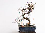 Geldbaum von Sandra Perquin Miniaturansicht
