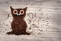 Coffee Owl Artwork - Unique Wall Decoration for Coffee Lovers
