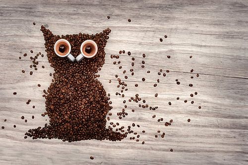 Koffie Uil Kunstwerk – Unieke Wanddecoratie voor Koffieliefhebbers
