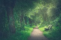 Wandelpad langs de Kromme Rijn, Utrecht