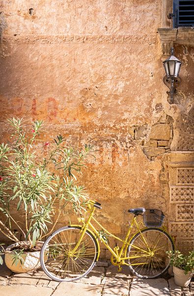 Bunte Wanddekoration mit altem Fahrrad und alter Mauer von Elma Maaskant