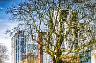 Westersingel, Calypso and the plane tree by Frans Blok thumbnail