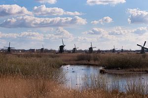 Dutch Landscape