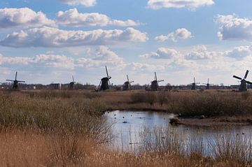 Dutch Landscape van Brian Morgan