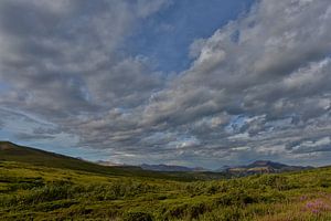 Alaska, Denali National Park.