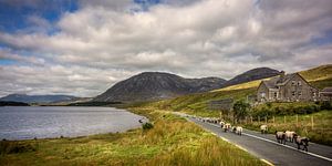 Lough Inagh, Connemara, Ierland van Bo Scheeringa Photography