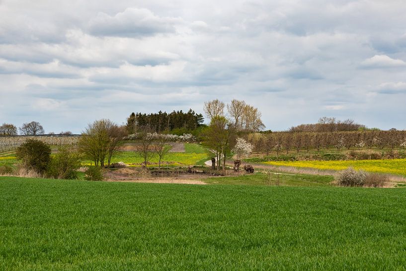 View over fields and agriculture land by Werner Lerooy