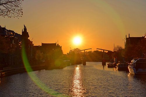 Waking up slowly (2017)