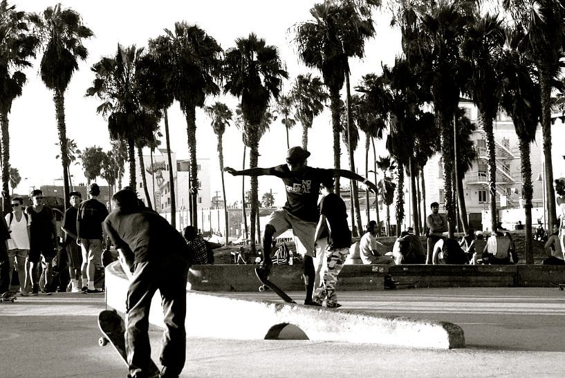 Skate à Venice Beach, Californie von Samantha Phung
