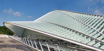 Station GUILLEMINS Luik by M  van den Hoven