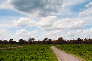 The Hoge Veluwe National Park, the Netherlands