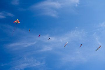 Colorful kites in the sky by Anja B. Schäfer