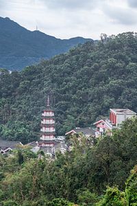 Pagode en tempels in Sha Tin van Mickéle Godderis