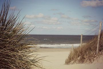 Dromerige duinen van Miek Kemel