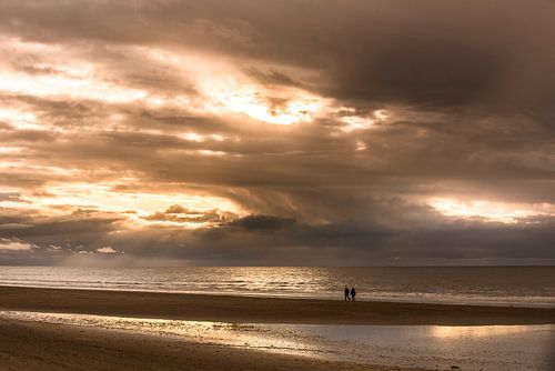 avondwandeling