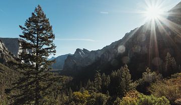 Uitkijkpunt met zonneschijn El Capitan Yosemite National Park | Reisfotografie fine art foto print | van Sanne Dost