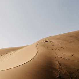 Les lignes ondulantes des dunes de sable de Namibie sur Leen Van de Sande