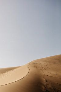 Les lignes ondulantes des dunes de sable de Namibie sur Leen Van de Sande