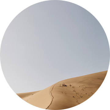 De golvende lijnen van de Namibische zandduinen van Leen Van de Sande