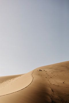 De golvende lijnen van de Namibische zandduinen van Leen Van de Sande
