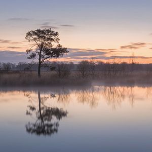 Holtveen Drenthe