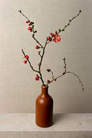 Flower branch in vase, still life Japanese flowering, quince, Japandi style