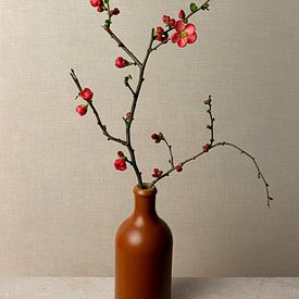 Branche de fleurs dans un vase, chaenomeles japonica, Japandi style sur Joske Kempink