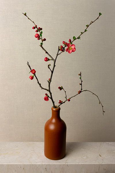 Branche de fleurs dans un vase, chaenomeles japonica, Japandi style sur Joske Kempink