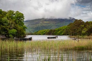 Killarney Nationaal Park van Peter Bijsterveld