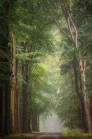 Lost my mind and found my soul