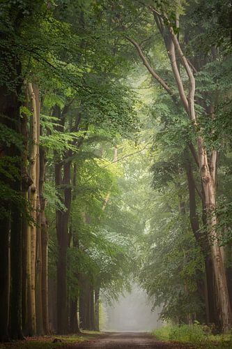 Lost my mind and found my soul