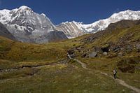 Wandelaar in Annapurna gebergte Nepal