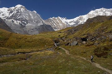 Wandelaar in Annapurna gebergte Nepal van Marilyn Bakker