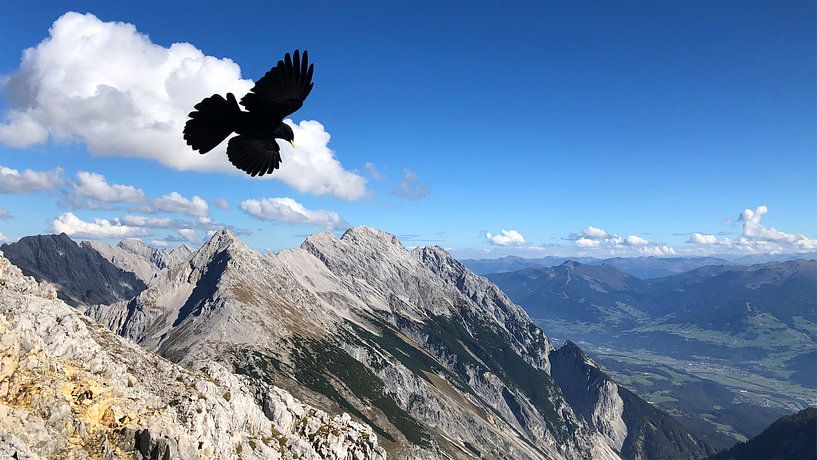 Karwendel Gipfelglück van Martina Dormann