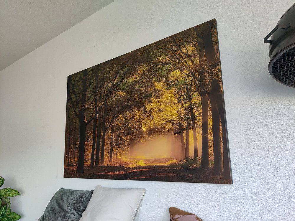 Zonsopkomst in het bos.   van Piet Haaksma 