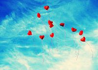 Hearts VI	