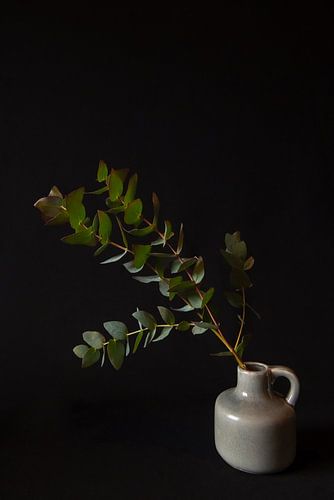 Between silence