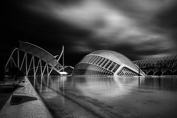 City of Arts and Sciences (Valencia)  van Bert Meijer