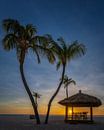 Sunset Beach Vibes van Bart Hendrix thumbnail