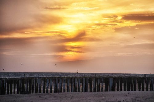 Post Heads in Vlissingen