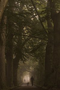 Morgenspaziergang im Nebel