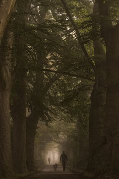 Promenade matinale dans le brouillard sur Moetwil en van Dijk - Fotografie