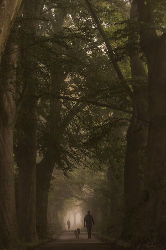 Ochtendwandeling in de mist